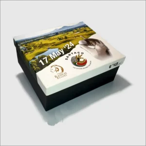 Branded golf gift box
